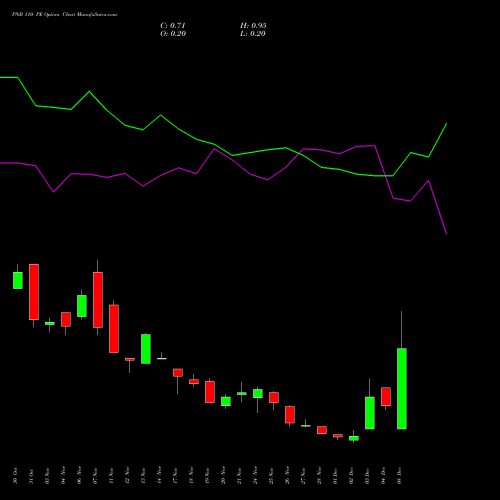 Live PNB 110 PE (PUT) 30 December 2025 options price chart analysis Punjab National Bank 