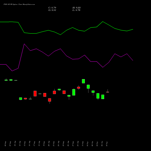 PNB 125 PE (PUT) 29 September 2026 options price chart analysis Punjab National Bank 