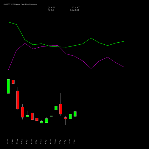 SAGILITY 45 PE (PUT) 29 September 2026 options price chart analysis Sagility India Limited 