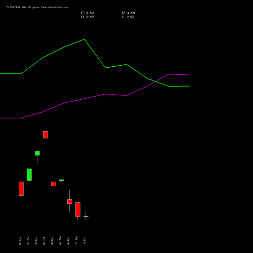 TATASTEEL 206 PE (PUT) 24 February 2026 options price chart analysis Tata Steel Limited 