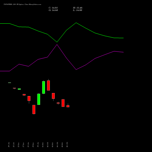 TATASTEEL 210 PE (PUT) 24 February 2026 options price chart analysis Tata Steel Limited 