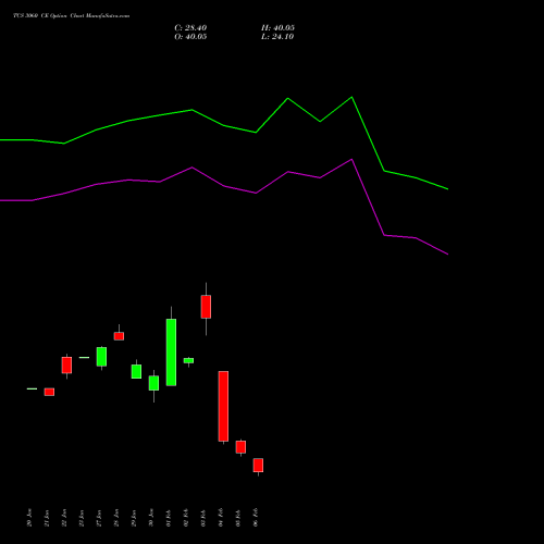 TCS 3060 CE (CALL) 24 February 2026 options price chart analysis Tata Consultancy Services Limited 