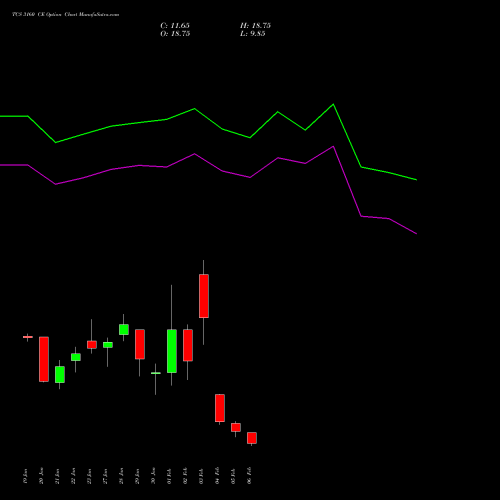 TCS 3160 CE (CALL) 24 February 2026 options price chart analysis Tata Consultancy Services Limited 