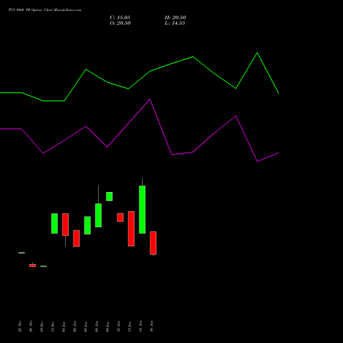 TCS 3040 PE (PUT) 24 February 2026 options price chart analysis Tata Consultancy Services Limited 