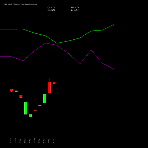 VMM 102.50 PE (PUT) 27 October 2026 options price chart analysis Vishal Mega Mart Limited 
