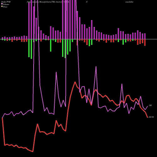 PVM Price Volume Measure charts Consolidated Construction Consortium Limited CCCL share NSE Stock Exchange 