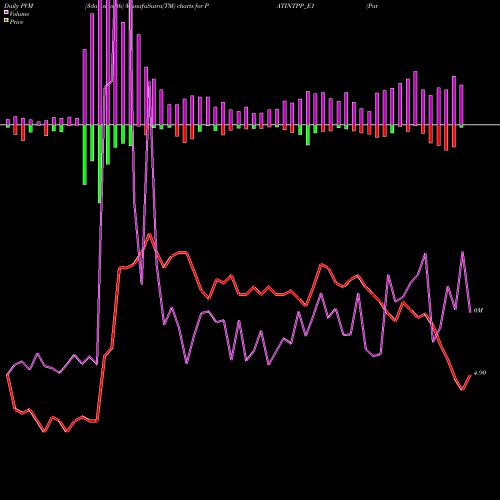 PVM Price Volume Measure charts Patel Inte Rs. 2.5 Ppd Up PATINTPP_E1 share NSE Stock Exchange 