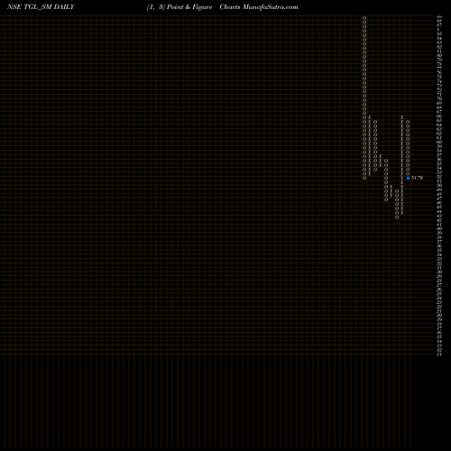 Free Point and Figure charts Teerth Gopicon Limited TGL_SM share NSE Stock Exchange 