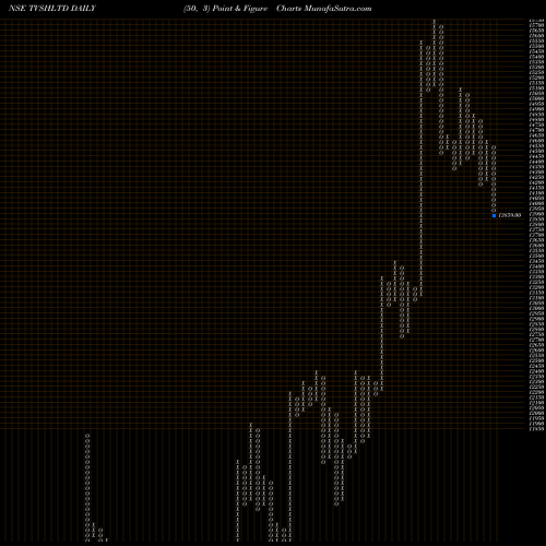 Free Point and Figure charts Tvs Holdings Limited TVSHLTD share NSE Stock Exchange 