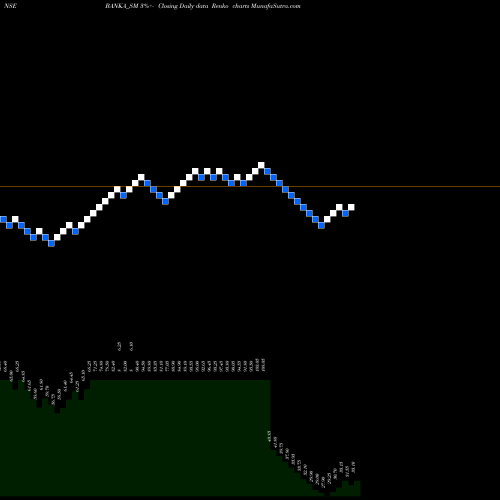 Free Renko charts Banka Bioloo Limited BANKA_SM share NSE Stock Exchange 