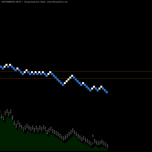 Free Renko charts Homesfy Realty Limited HOMESFY_SM share NSE Stock Exchange 