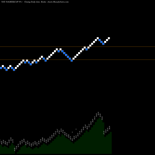 Free Renko charts Nagreeka Capital & Infrastructure Limited NAGREEKCAP share NSE Stock Exchange 