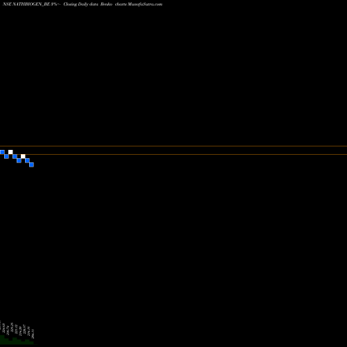 Free Renko charts Nath Bio-genes (i) Ltd NATHBIOGEN_BE share NSE Stock Exchange 