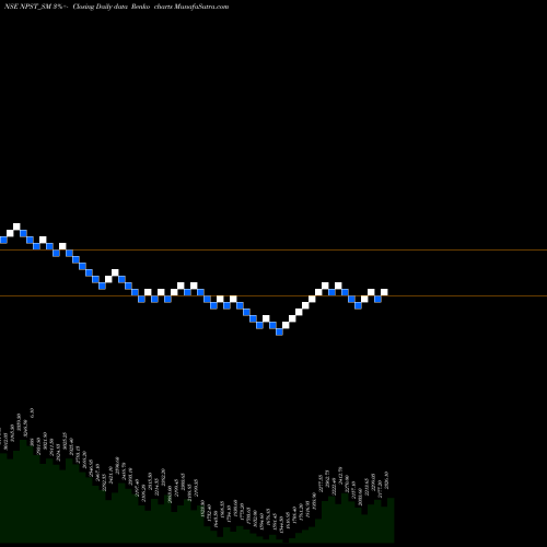 Free Renko charts Network People Srv Tech L NPST_SM share NSE Stock Exchange 