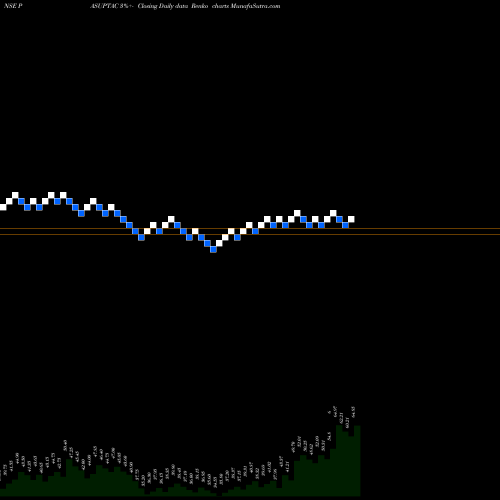 Free Renko charts Pasupati Acrylon Limited PASUPTAC share NSE Stock Exchange 