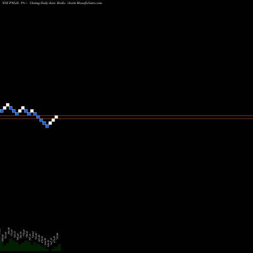 Free Renko charts P N Gadgil Jewellers Ltd PNGJL share NSE Stock Exchange 