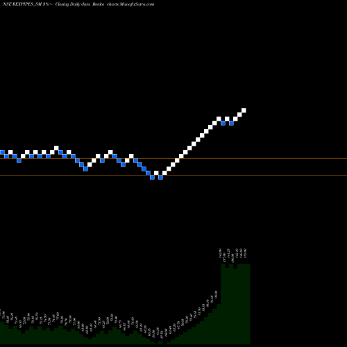 Free Renko charts Rex Pipes And Cables Ltd REXPIPES_SM share NSE Stock Exchange 
