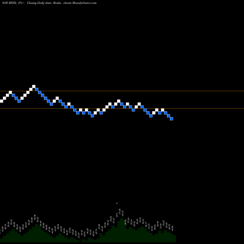 Free Renko charts Ravinder Heights Limited RVHL share NSE Stock Exchange 