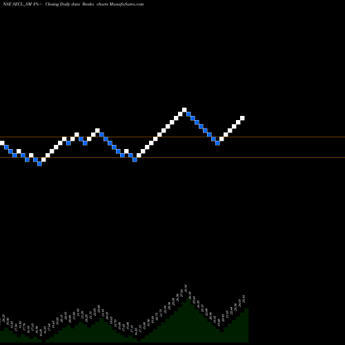 Free Renko charts Salasar Exterior Cont Ltd SECL_SM share NSE Stock Exchange 