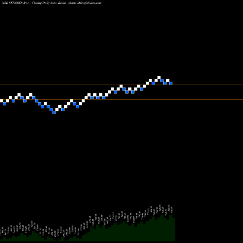 Free Renko charts Senores Pharmaceuticals L SENORES share NSE Stock Exchange 
