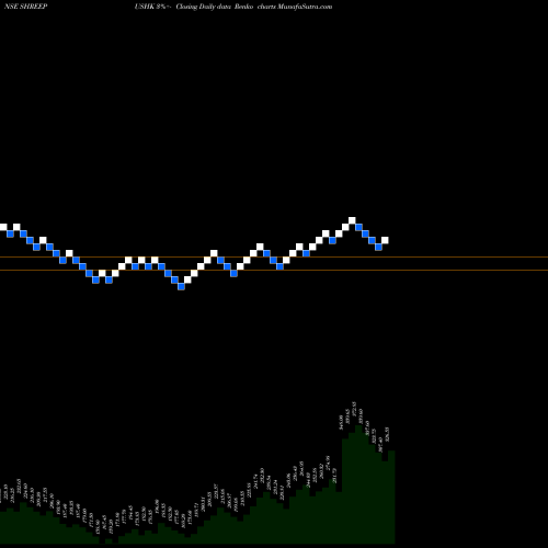 Free Renko charts SHREE PUSHKAR CHEM INR10 SHREEPUSHK share NSE Stock Exchange 