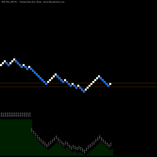 Free Renko charts Teerth Gopicon Limited TGL_SM share NSE Stock Exchange 