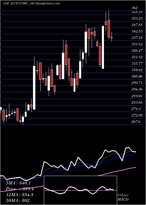  Daily chart AccentMicrocell