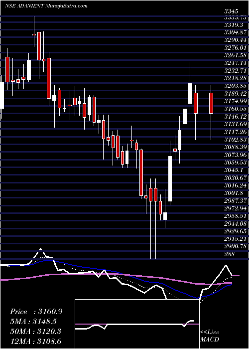  Daily chart Adani Enterprises Limited