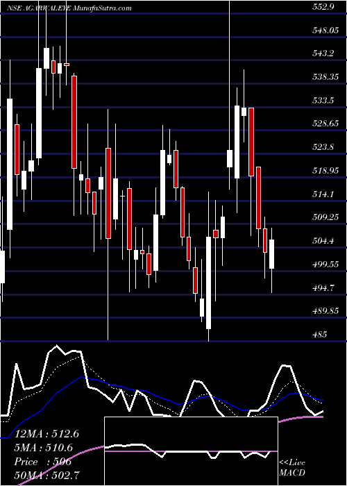  Daily chart DrAgarwals