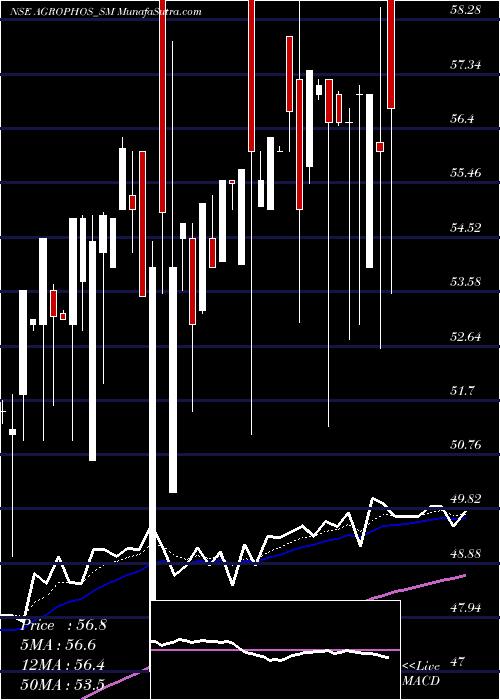  Daily chart AgroPhos