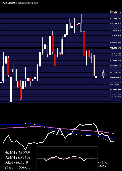  weekly chart AmberEnterprises