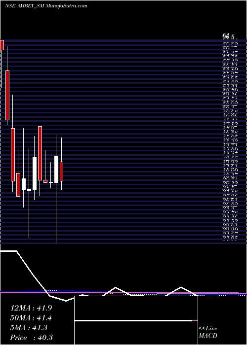  monthly chart AmbeyLaboratories