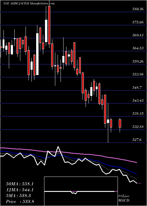  Daily chart Ambuja Cements Limited