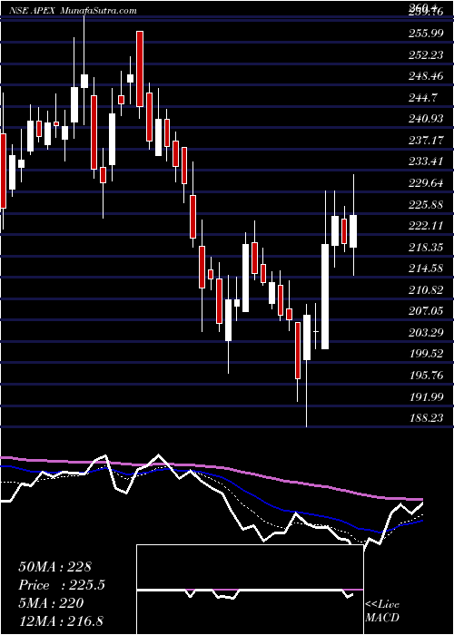  Daily chart Apex Frozen Foods Limited