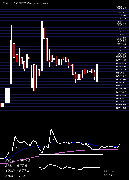  Daily chart Avanti Feeds Limited