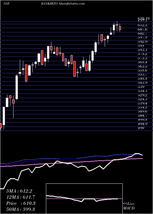  weekly chart BenchmarkBankbees