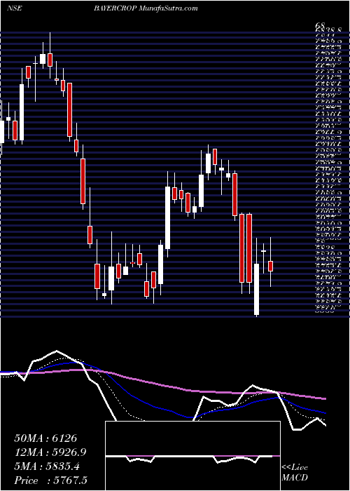  Daily chart BayerCropscience