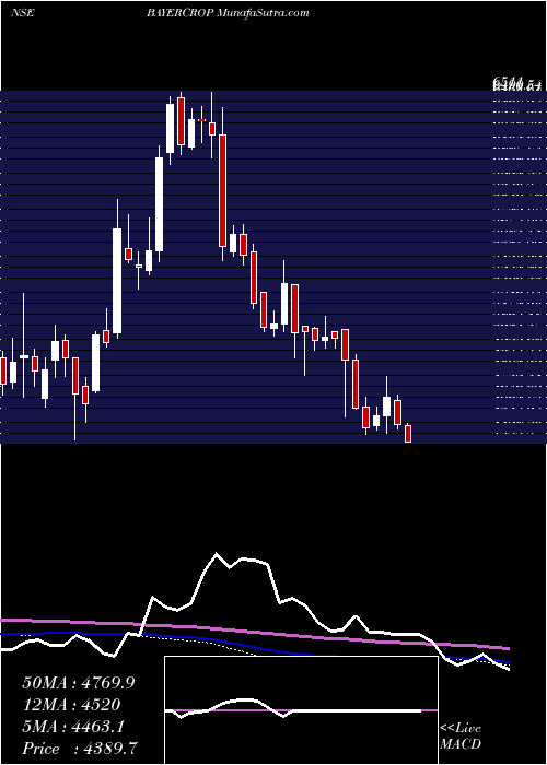  weekly chart BayerCropscience
