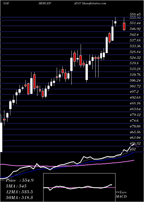  Daily chart BergerPaints