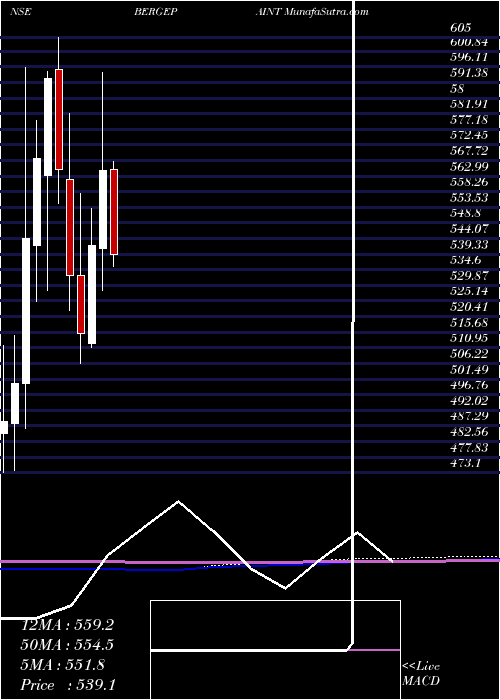  monthly chart BergerPaints