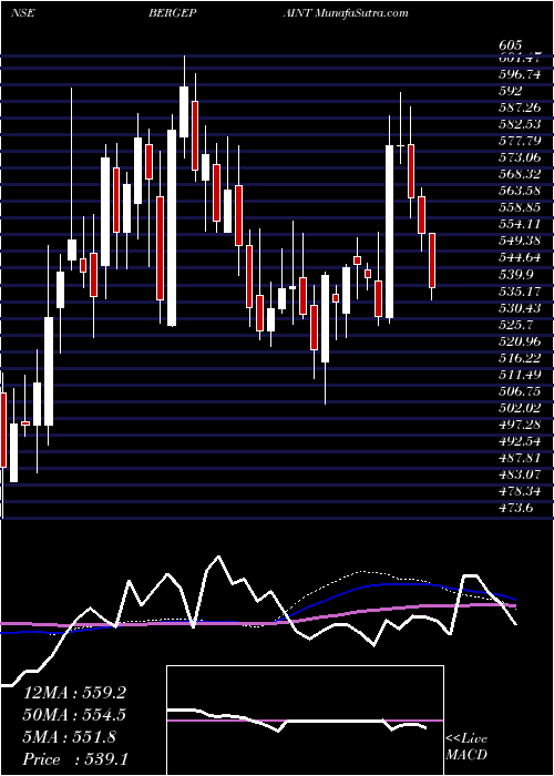  weekly chart BergerPaints