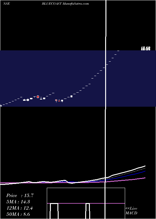  Daily chart BlueCoast