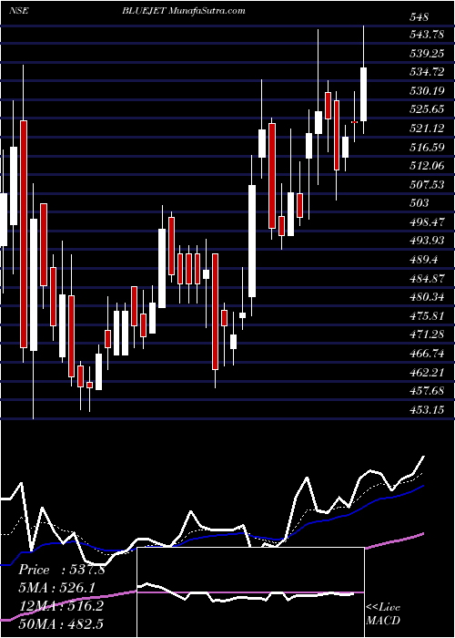  Daily chart Blue Jet Healthcare Ltd