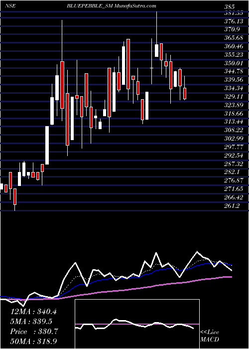  Daily chart Blue Pebble Limited