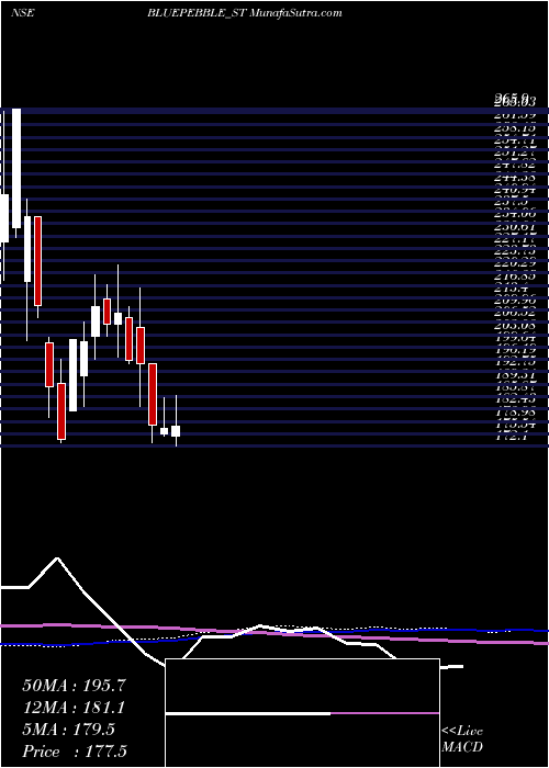  weekly chart BluePebble