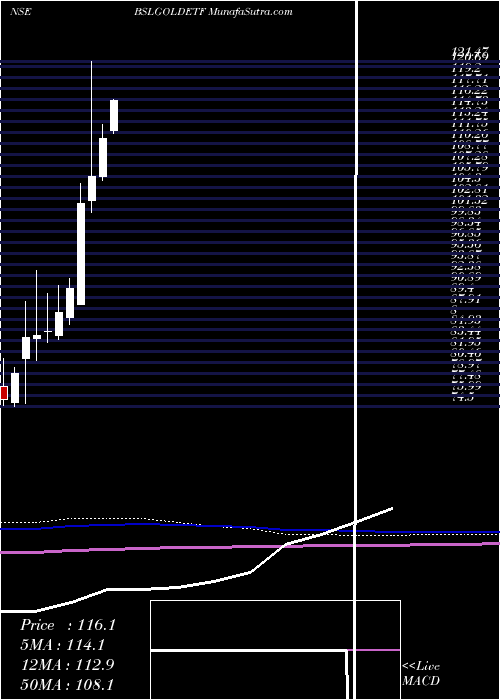  monthly chart BirlaSun