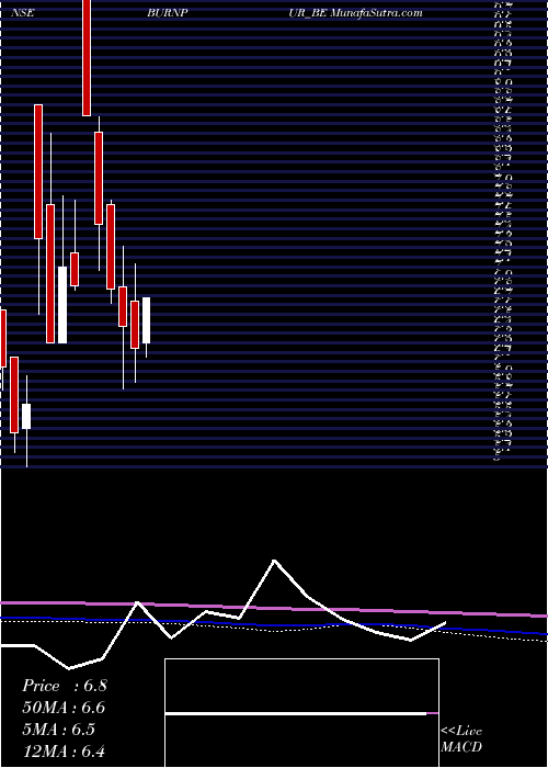  monthly chart BurnpurCement