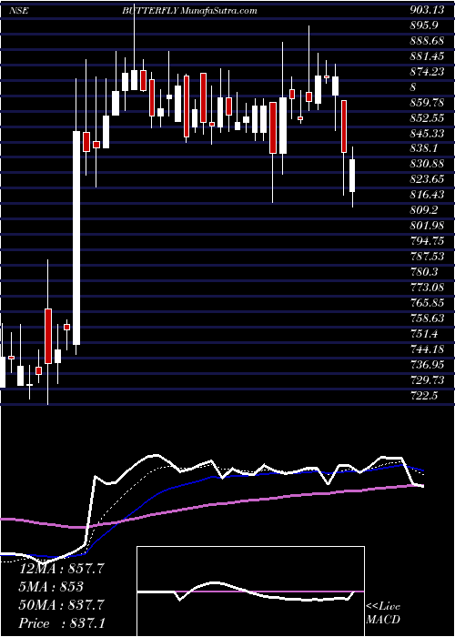  Daily chart ButterflyGandhimathi