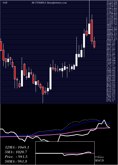  weekly chart ButterflyGandhimathi