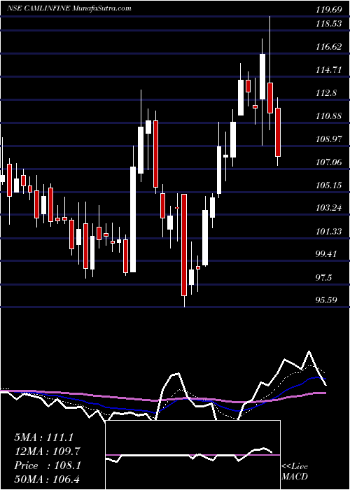  Daily chart CamlinFine